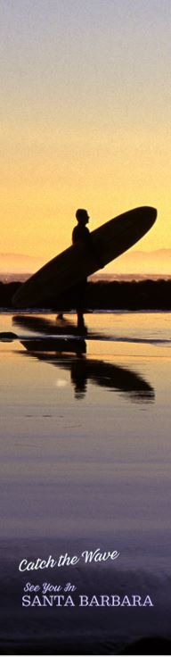ACD 2026 conference artwork: Catch the Wave, See You in Santa Barbara